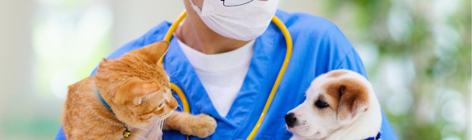 Veterinarian wearing a mask and holding a cat and dog