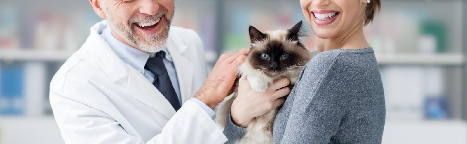 Veterinarian and lady with holding a cat